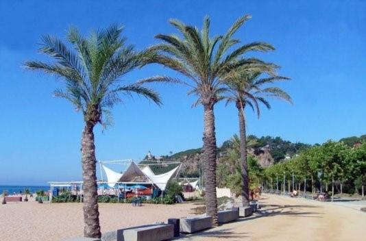 Encantador Estudio Apartment Calella Luaran gambar